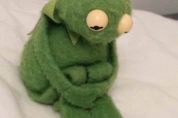 twitter-turned-this-sad-kermit-into-an-emotional--2-10976-1481654874-0_dblbig